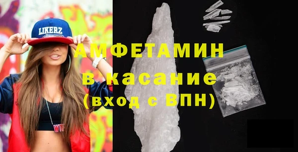 амф Дмитриев