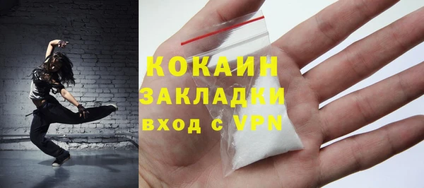 стаф Дмитров