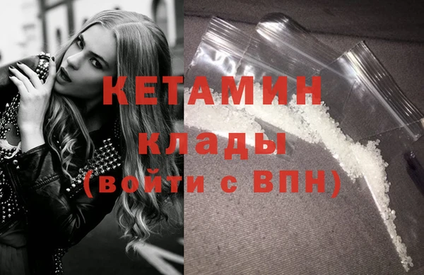 амф Дмитриев