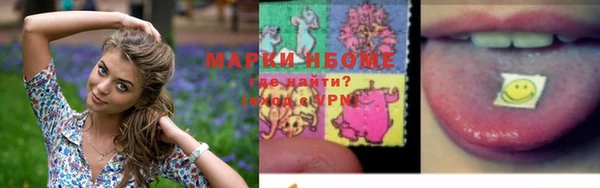 стаф Дмитров