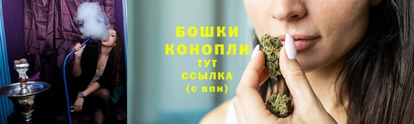 стаф Дмитров