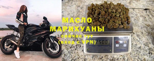 стаф Дмитров