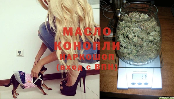 амф Дмитриев