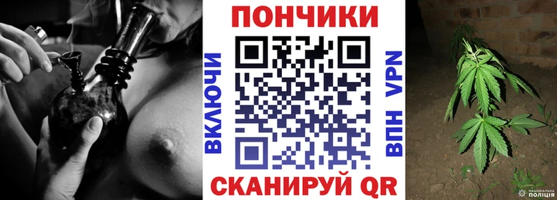 Бошки Шишки MAZAR Купить где Хилок